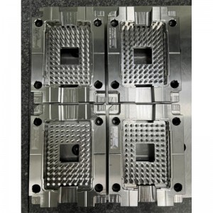 Precisievorm met meerdere holtes ibi-8